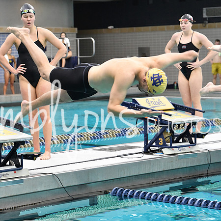 DSC_4200_edited-1