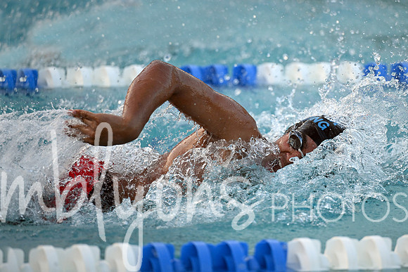 DSC_1641-1_edited-1