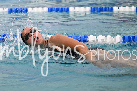 DSC_2545_edited-1