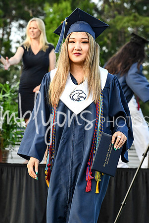 DSC_1238_edited-1