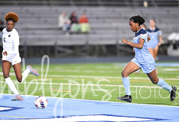 DSC_8678-1_edited-1