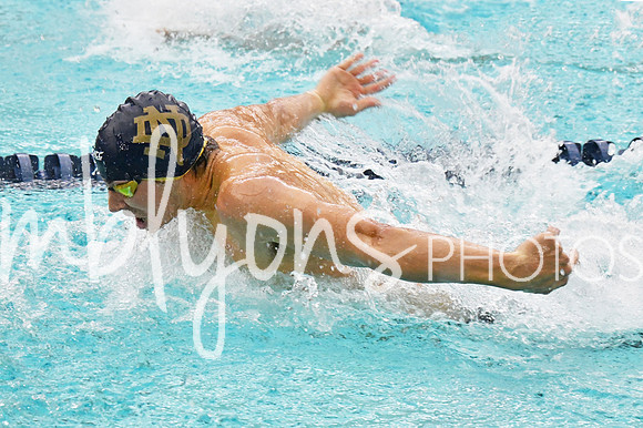 DSC_3311-1_edited-1