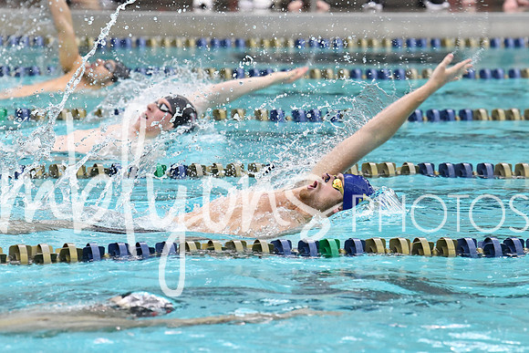 DSC_4153-1_edited-1