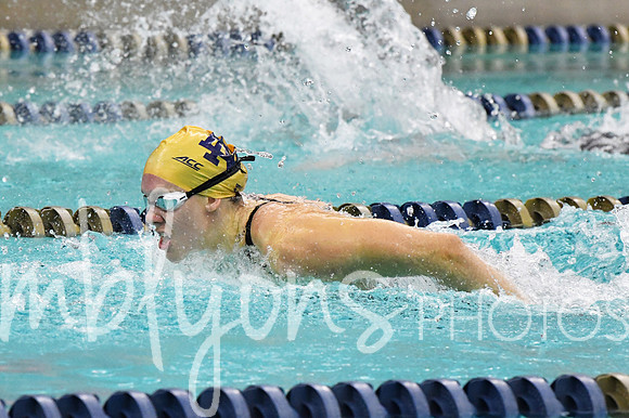 DSC_2447-1_edited-1