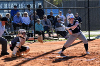 DSC_8341-1_edited-1