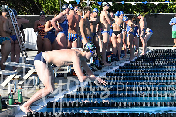 DSC_5092_edited-1