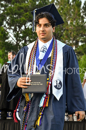 DSC_1245-1_edited-1
