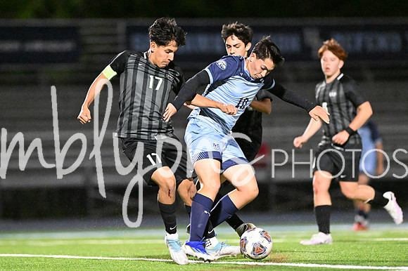 DSC_1264-1_edited-1