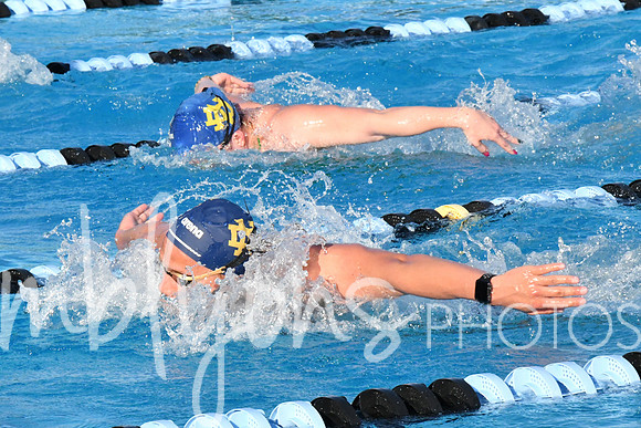 DSC_5447_edited-1