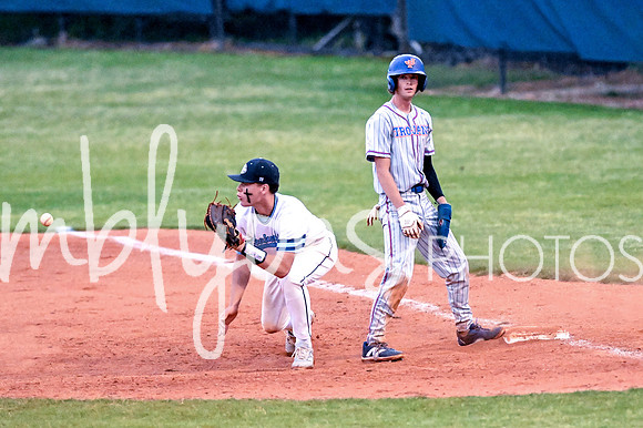 DSC_2464_edited-11