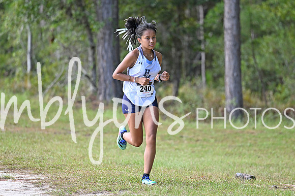 DSC_4229-1_edited-1