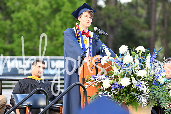 DSC_1137-1_edited-1