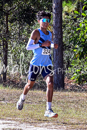 DSC_7397-1_edited-1