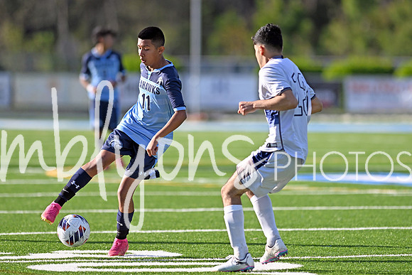 DSC_4449-1_edited-1