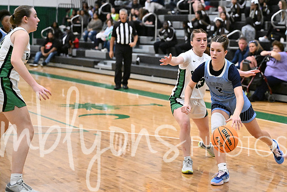 DSC_4339_edited-1