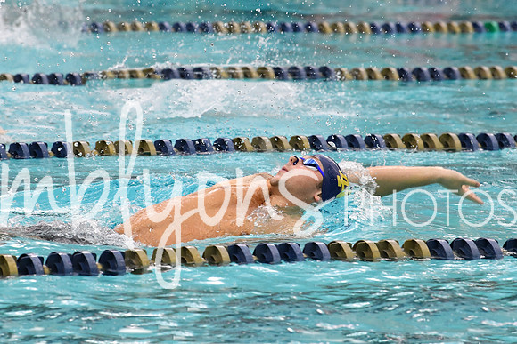 DSC_4159-1_edited-1