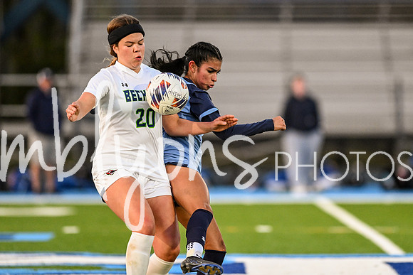 DSC_5581-1_edited-1