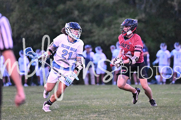 DSC_7371-1_edited-1