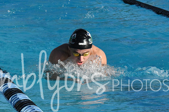 DSC_6561-1_edited-1