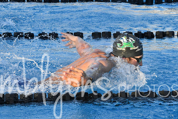 DSC_6134_edited-1