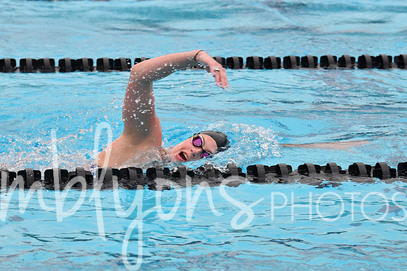 DSC_4486_edited-1