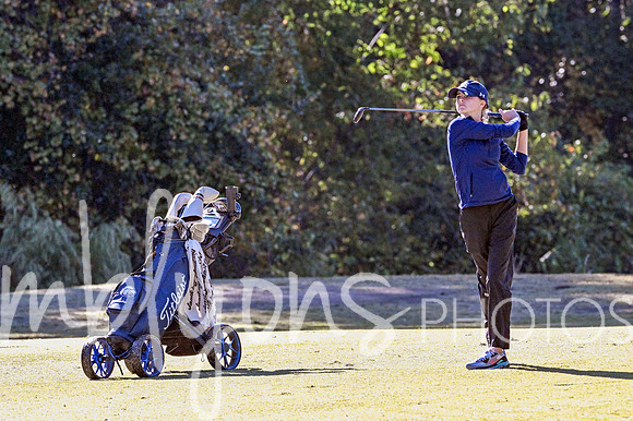 DSC_6673-1_edited-1