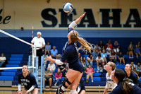 DSC_2931-1_edited-1