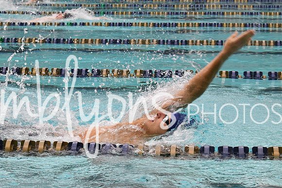 DSC_3091-1_edited-1
