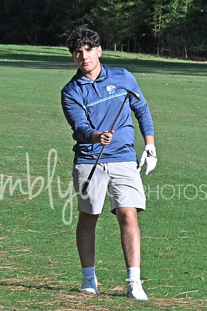 DSC_2610-1_edited-1