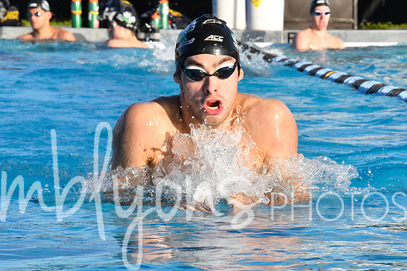DSC_5593-1_edited-1