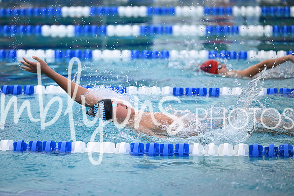 DSC_2309_edited-1