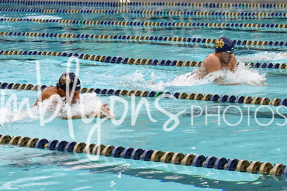 DSC_3517_edited-1
