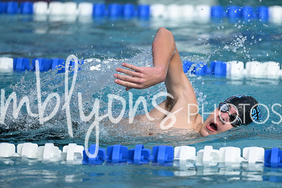 DSC_1906_edited-1