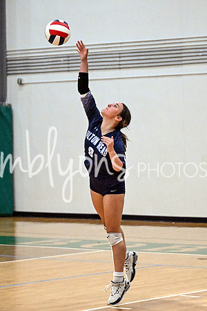 DSC_4505-1_edited-1