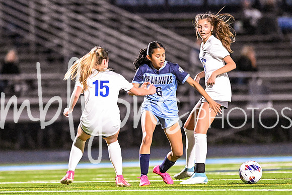 DSC_3466_edited-1