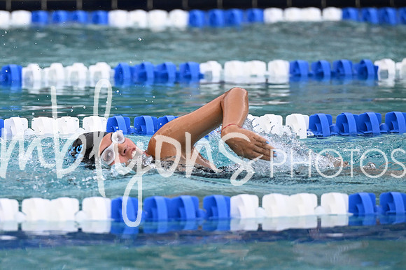 DSC_2530-1_edited-1