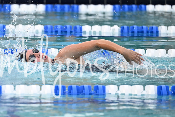 DSC_2382-1_edited-1