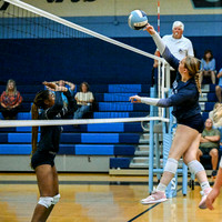 DSC_2951-1_edited-1