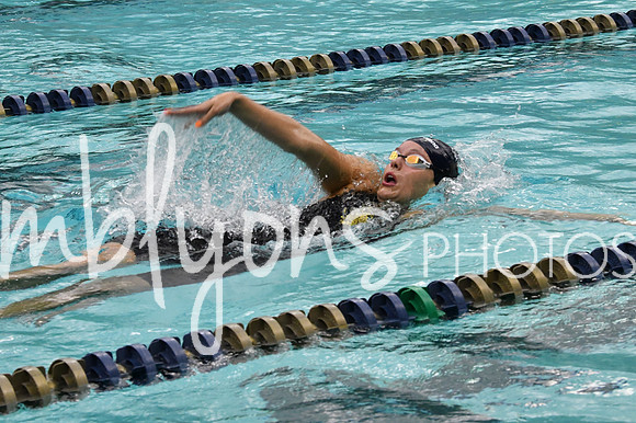 DSC_3584_edited-1