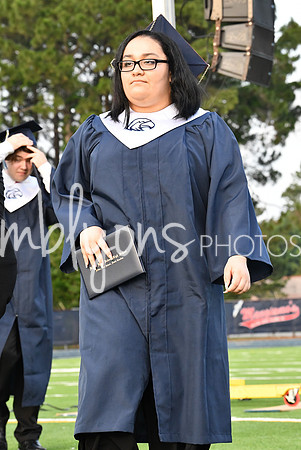 DSC_1175_edited-1