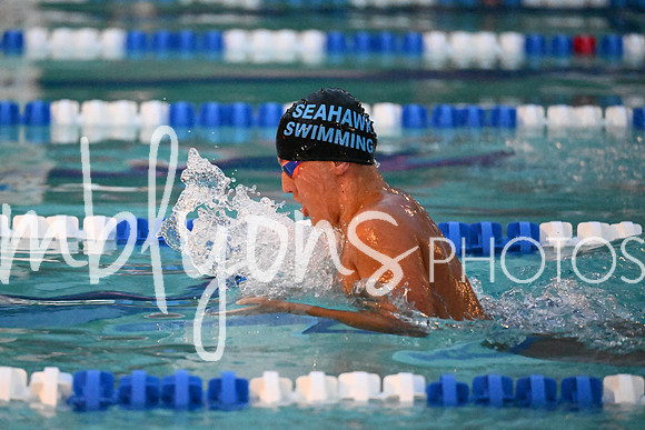 DSC_2904-1_edited-1