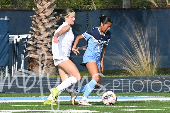 DSC_0215_edited-1