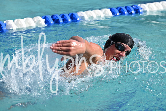 DSC_1663_edited-1