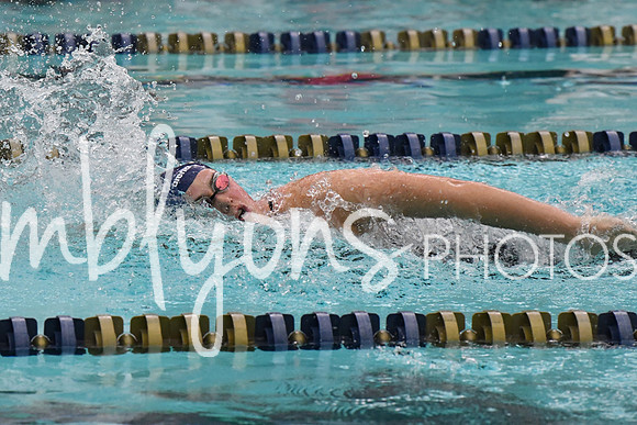 DSC_3371-1_edited-1