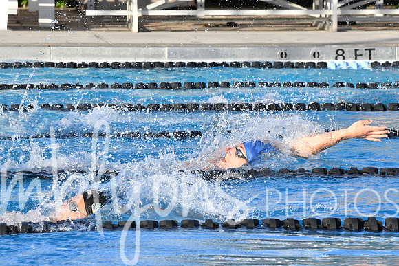 DSC_6258-1_edited-1
