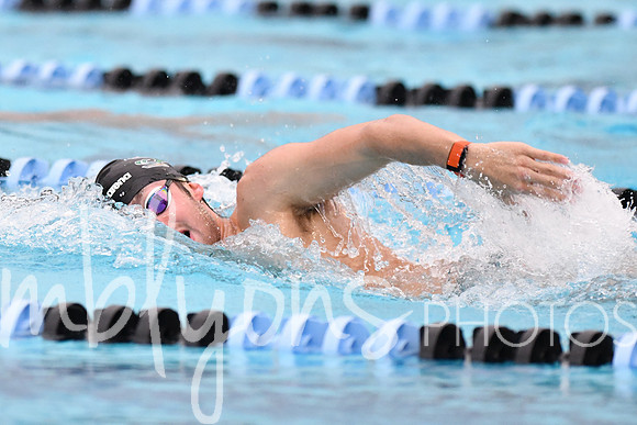 DSC_4533_edited-1