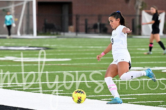DSC_7706-1_edited-1