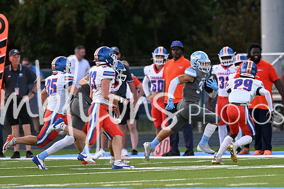 DSC_7711-1_edited-1