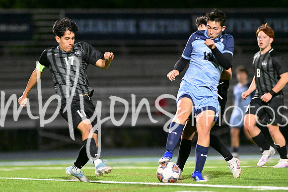 DSC_1260-1_edited-1