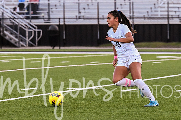 DSC_7666-1_edited-1